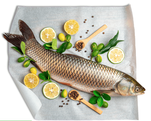 🐟 SABALO O YAMU 🐟