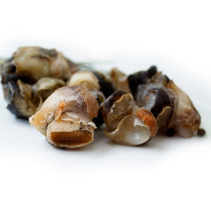 🐚 CARACOL COPEY - 1LIBRA 🐚