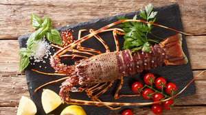 🦞 LANGOSTA COMPLETA 🦞