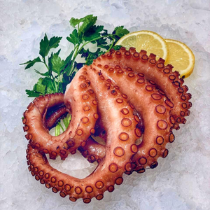 🐙 PULPO 🐙