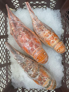 🦞 LANGOSTA COMPLETA 🦞