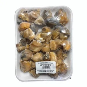 🐚 CARACOL COPEY - 1LIBRA 🐚