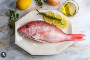 🐠 PARGO ROJO 🐠 PRODUCTO PREMIUM 🏆 - 500gr a 550gr